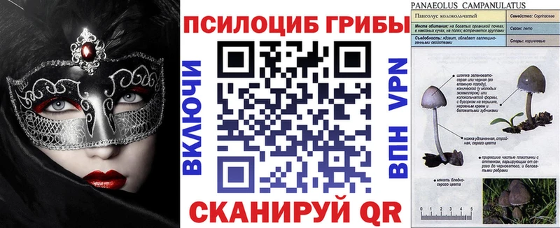 мега сайт  Бабаево  Галлюциногенные грибы мухоморы 